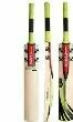 Gray Nicolls Powerbow Strike Cricket Bat