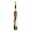 Gray Nicolls Powerbow 4 Star Cricket Bat