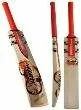 Gray Nicolls Kaboom Cricket Bat