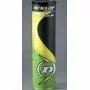 Dunlop Fort All Court Tennis Balls